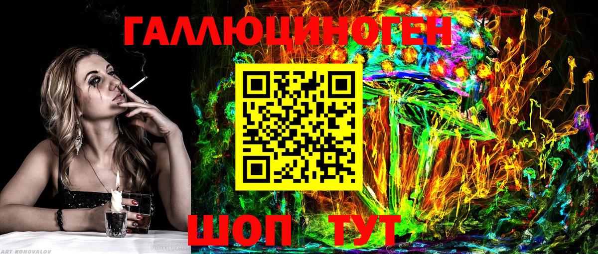Псилоцибиновые грибы Psilocybine cubensis Керчь
