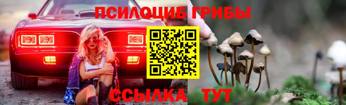 Псилоцибиновые грибы ЛСД  дарнет шоп  Керчь  Вход с VPN  Галлюциногенные грибы Magic Shrooms 